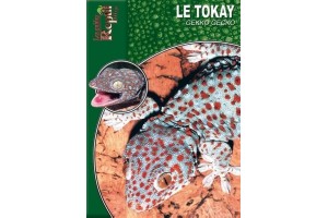 Le Tokay - Gecko gecko Guide Reptilmag